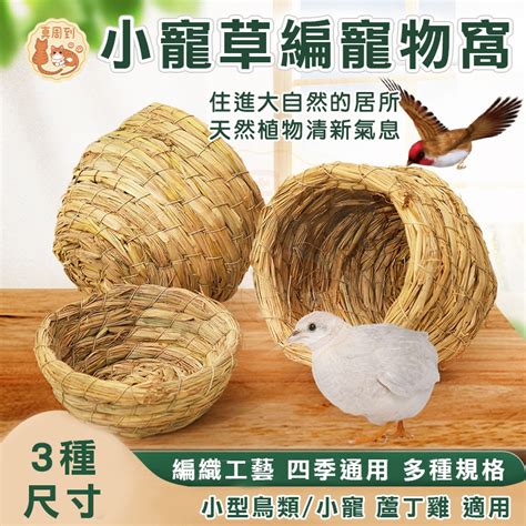 編織鳥窩教學|DIY 